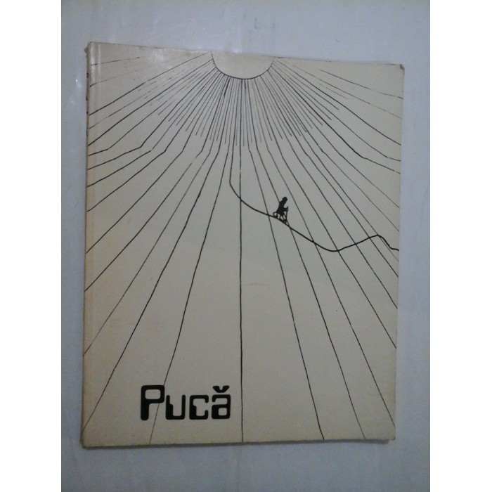 Florin  Puca  - cuvant inainte de   Fanus  Neagu (album)